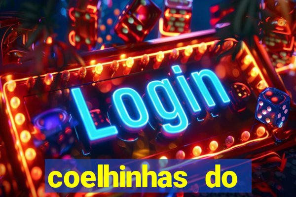 coelhinhas do brasil recife